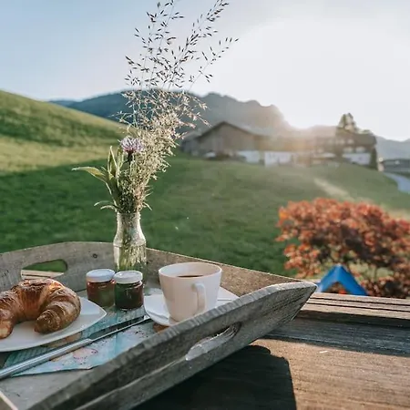 Apartment Baldauf Hittisau